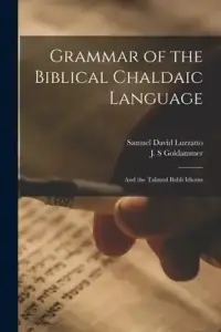 Grammar of the Biblical Chaldaic Language: and the Talmud Babli Idioms