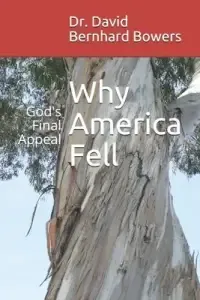 Why America Fell: God's Final Appeal