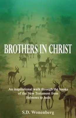 Brothers in Christ: An inspirational walk through the books of the New Testament from Hebrews to Jude