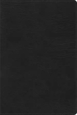 RVR 1960 Biblia de Estudio Arcoiris, negro símil piel