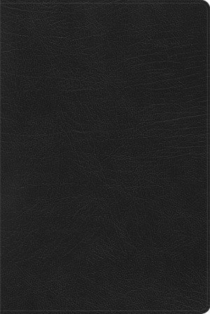 RVR 1960 Biblia de Estudio Arcoíris, negro símil piel con índice