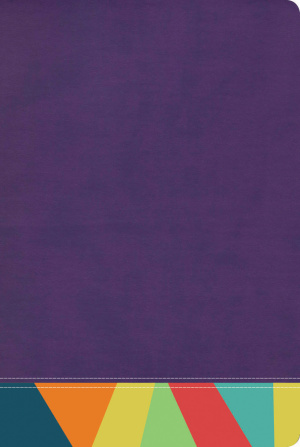 RVR 1960 Biblia de Estudio Arcoíris, morado/multicolor