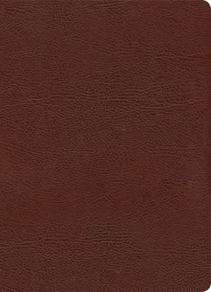 KJV Study Bible, Full-Color, Brown Bonded Leather, Indexed