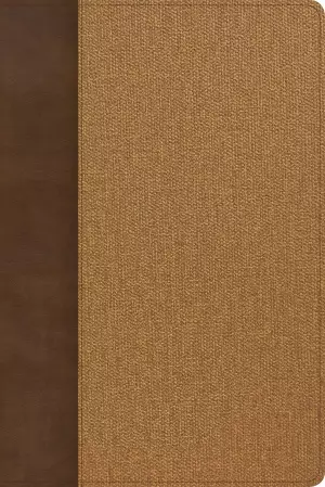 KJV Rainbow Study Bible, Brown/Tan LeatherTouch