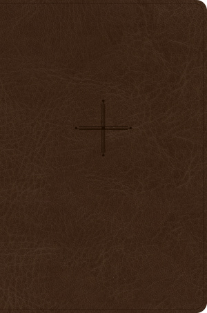 CSB Every Day with Jesus Daily Bible, Brown, Imitation Leather, Devotions, Journalling, Maps
