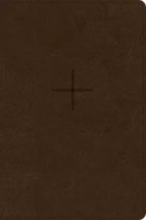 CSB Every Day with Jesus Daily Bible, Brown, Imitation Leather, Devotions, Journalling, Maps