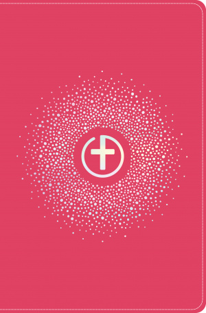 CSB One Big Story Bible, Pink LeatherTouch