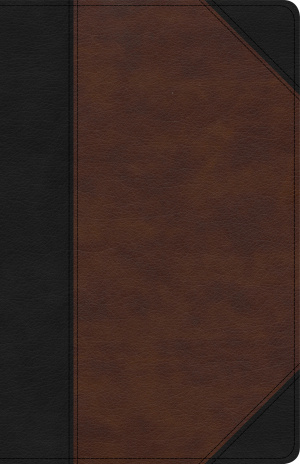KJV Large Print Personal Size Reference Bible, Black/Brown Leathertouch