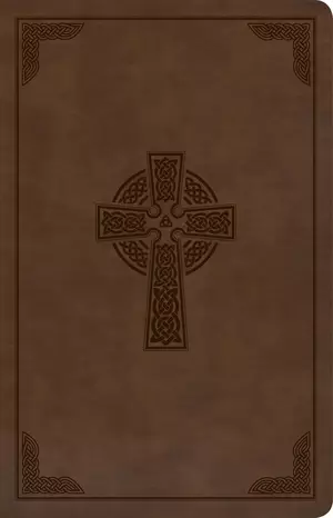 KJV Large Print, Brown, Imitation Leather, Personal Size, Reference
