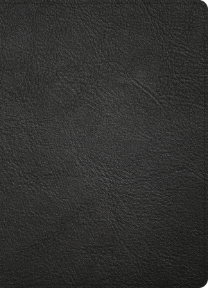 CSB Study Bible, Holman Handcrafted Collection, Black Premium Goatskin