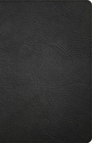 NASB Large Print Personal Size Reference Bible, Black Genuine Leather