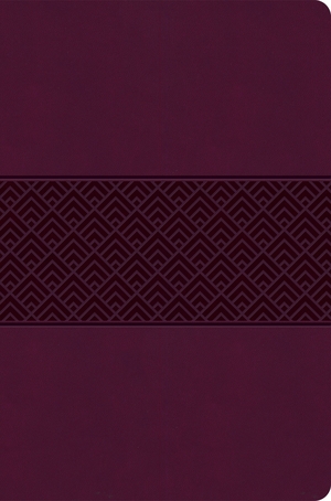 CSB Everyday Study Bible, Wine Burnish, Global