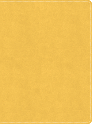 CSB Lifeway Women's Bible, Marigold LeatherTouch, Indexed