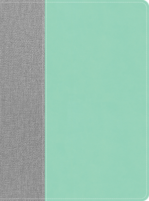 CSB Lifeway Women's Bible, Gray/Mint LeatherTouch, Indexed