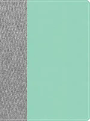 CSB Lifeway Women's Bible, Gray/Mint LeatherTouch, Indexed