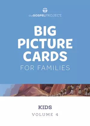 Gospel Project for Kids: Kids Big Picture Cards - Volume 4: From Unity to Division