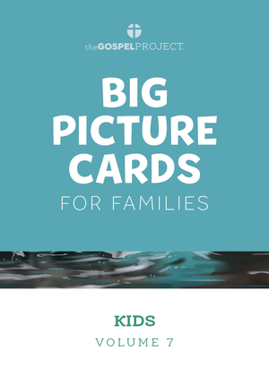 Gospel Project for Kids: From Heaven to Earth - Kids Big Picture Cards - Volume 7