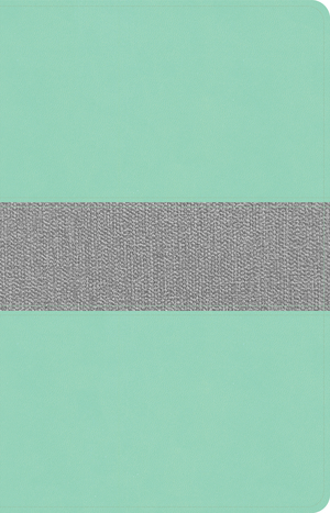 CSB Thinline Reference Bible, Mint/Gray LeatherTouch