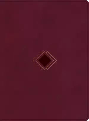 CSB Day-by-Day Chronological Bible, Burgundy LeatherTouch