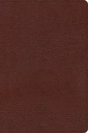 CSB Large Print Thinline Bible, Brown Bonded Leather, Indexed