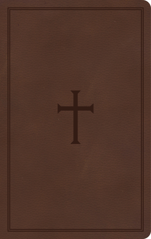KJV Thinline Reference Bible, Brown LeatherTouch