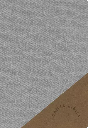 RVR 1960 Biblia letra supergigante edición 2023, gris símil piel con índice