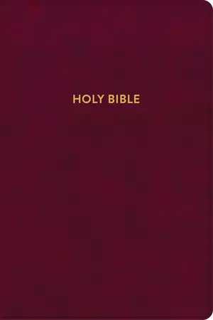 KJV Rainbow Study Bible, Burgundy LeatherTouch, Indexed