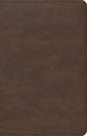 KJV Single-Column Compact Bible, Brown LeatherTouch, Words of Christ in Red