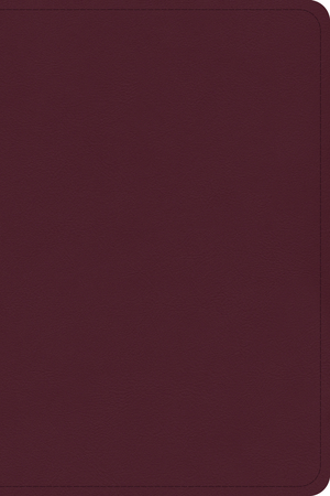 CSB Large Print Compact Reference Bible, Cranberry Leathertouch