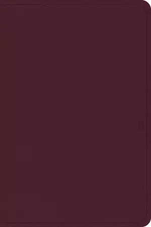 CSB Large Print Compact Reference Bible, Cranberry Leathertouch