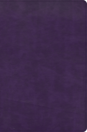 CSB Giant Print Reference Bible, Plum LeatherTouch