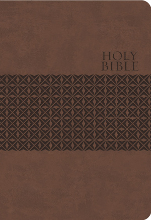 Study Bible-KJV