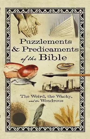Puzzlements And Predicaments Of The Bible