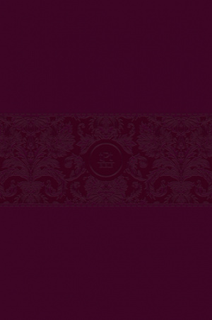 The Passion Translation New Testament (2020 Edition) Large Print Burgundy: With Psalms, Proverbs and Song of Songs