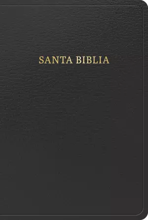 RVR 1960 Biblia letra grande tamaño manual, negro, imitación piel (edición 2023)