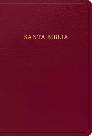 RVR 1960 Biblia letra grande tamaño manual, borgoña, imitación piel (edición 2023)