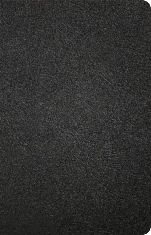 NASB Large Print Thinline Bible, Holman Handcrafted Collection, Black Premium Goatskin