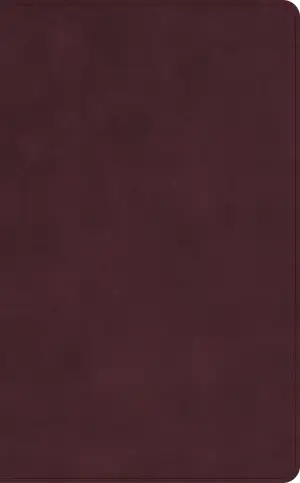 CSB Single-Column Personal Size Bible, Holman Handcrafted Collection, Premium Marbled Burgundy Calfskin