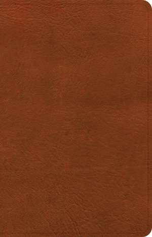 NASB Personal Size Bible, Burnt Sienna LeatherTouch