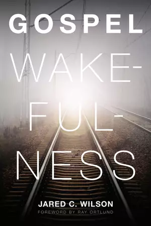 Gospel Wakefulness (Foreword by Ray Ortlund)