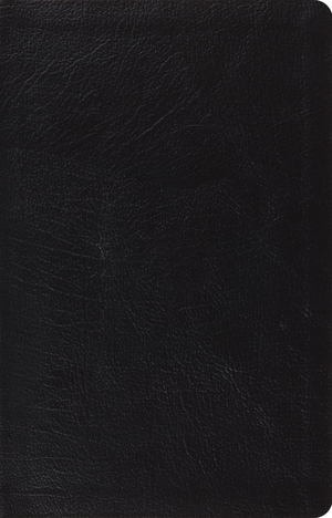 ESV Large Print Thin Reference