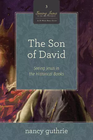 The Son of David (A 10-week Bible Study)
