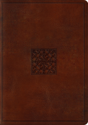 ESV Study Bible, Imitation Leather, Illustrated, Maps, Study Guides, Articles, Concordance,