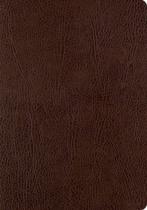 ESV Single Column Journaling Bible, Large Print (Bonded Leather, Mocha)