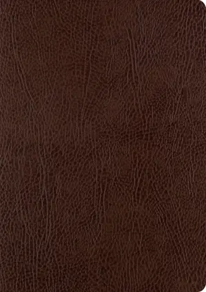 ESV Single Column Journaling Bible, Large Print (Bonded Leather, Mocha)