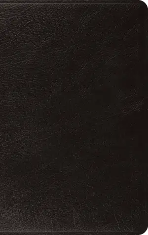 ESV Large Print Thinline Bible (Genuine Leather, Black)