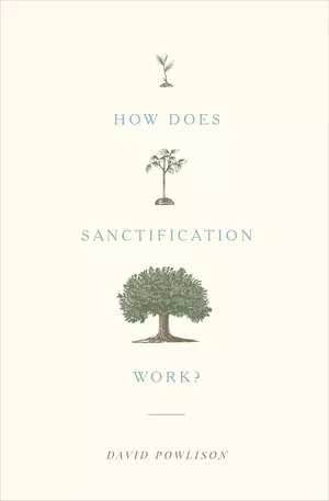 How Does Sanctification Work?