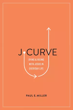 J-Curve