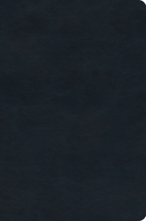 ESV Value Compact Bible (TruTone, Navy)