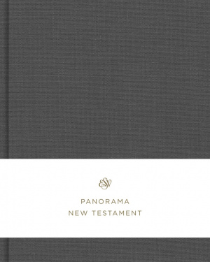 ESV Panorama New Testament (Cloth over Board, Gray)